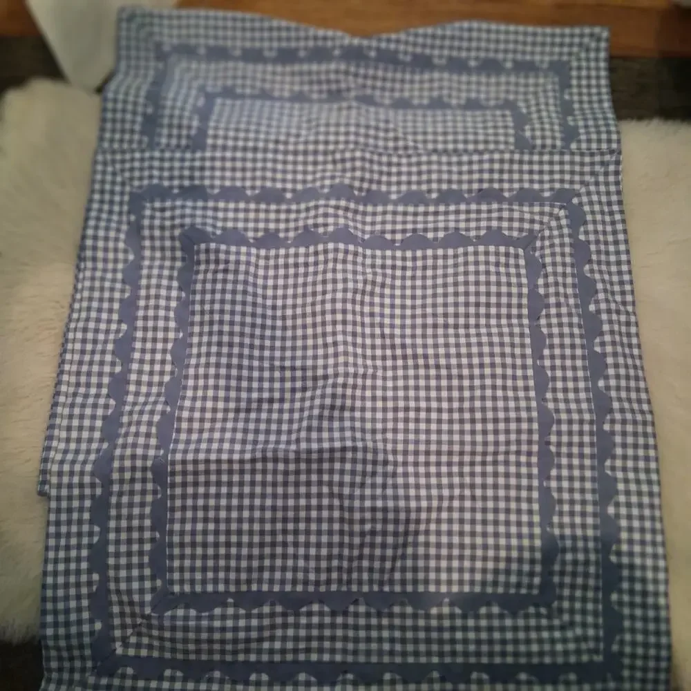 Pottery Barn Teen Sweet Gingham blue sheet set twin XL + Euro Cases + Sham 5pc